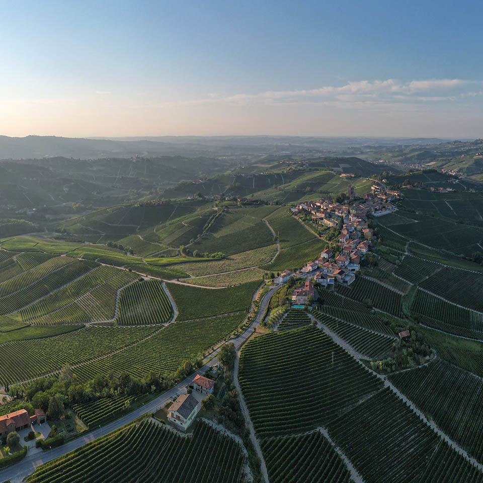 Altri Vigneti