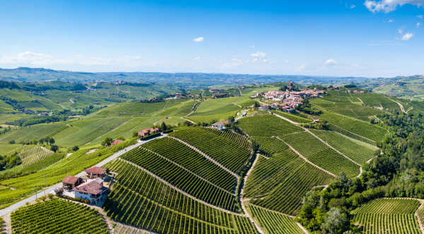 Barolo 2022 secondo Kerin O’Keefe: i punteggi di Giovanni Rosso