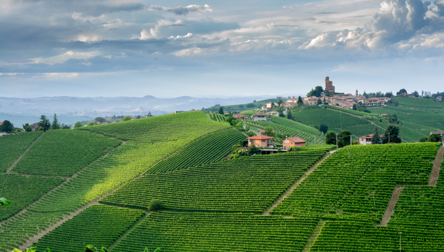 Giovanni Rosso tra i protagonisti della straordinaria annata 2021 su Wine Spectator.