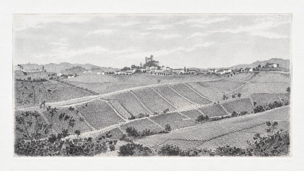 Art Meets Wine: Tina Ciravegna at Giovanni Rosso